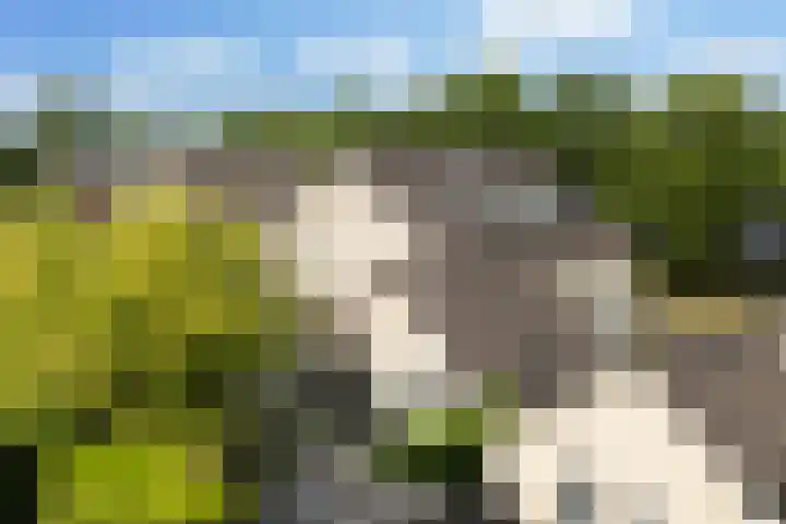 De Kamp 5 Oentsjerk thumbnail 55