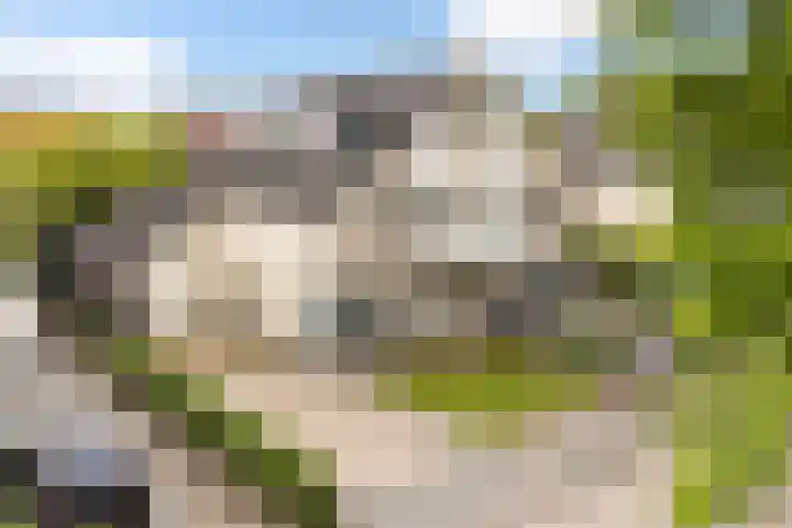De Kamp 5 Oentsjerk thumbnail 6