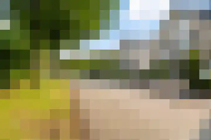 De Kamp 5 Oentsjerk thumbnail 8