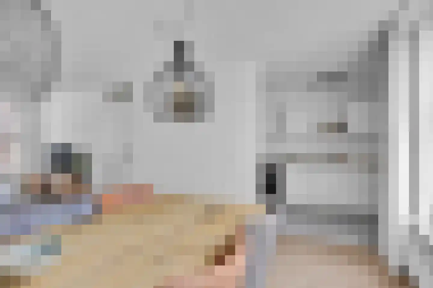 De Kamp 6 Woudsend thumbnail 11