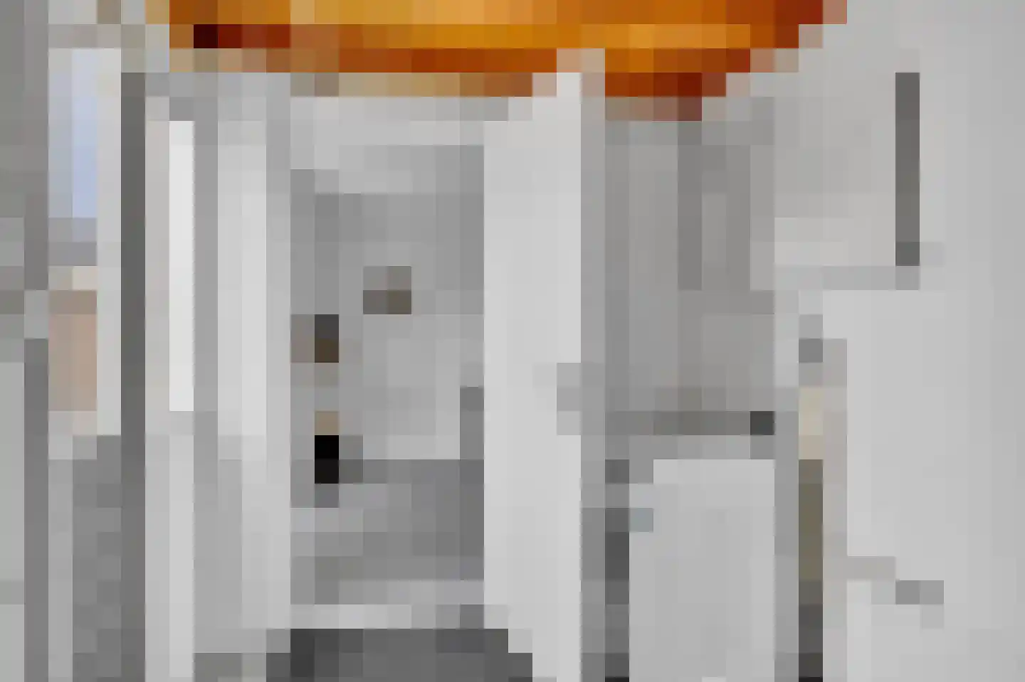 De Kamp 6 Woudsend thumbnail 17