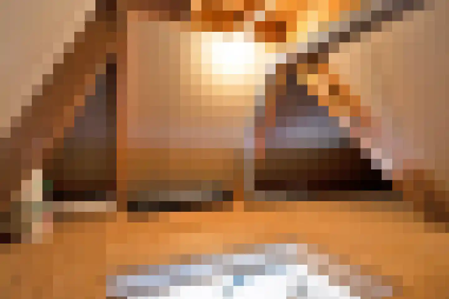 De Kamp 6 Woudsend thumbnail 24