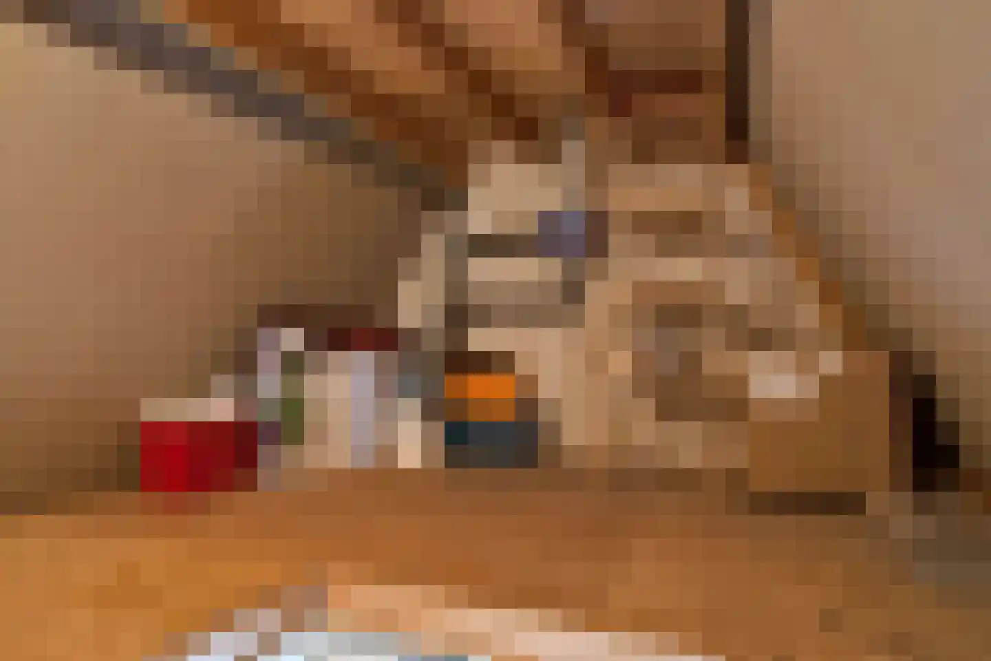 De Kamp 6 Woudsend thumbnail 25
