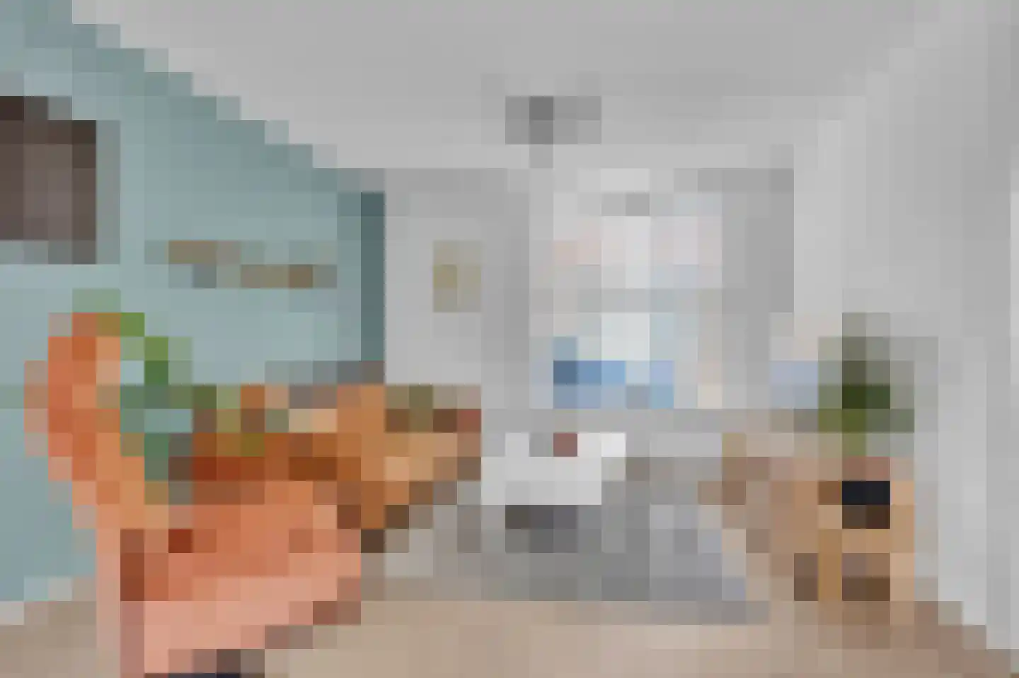 De Kamp 6 Woudsend thumbnail 8