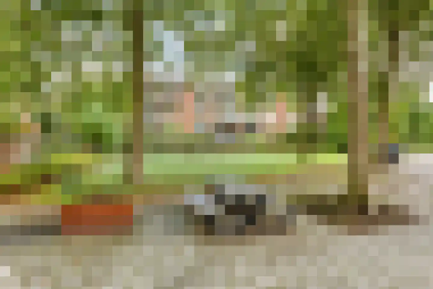 De Kamp 63 Deventer thumbnail 29