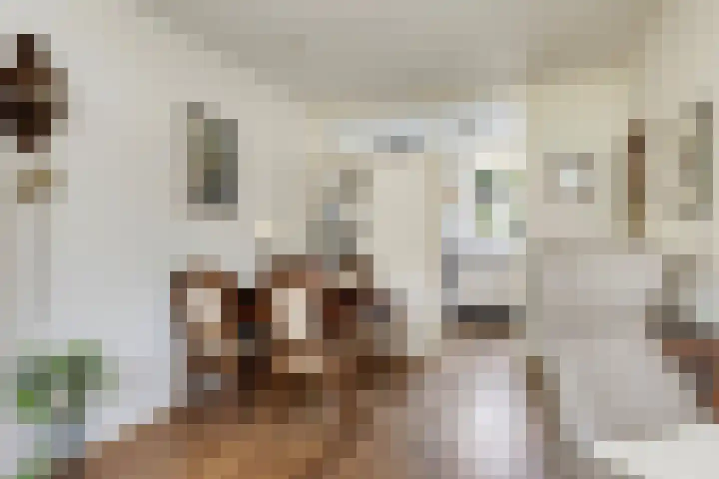 De Kamp 63 Deventer thumbnail 7