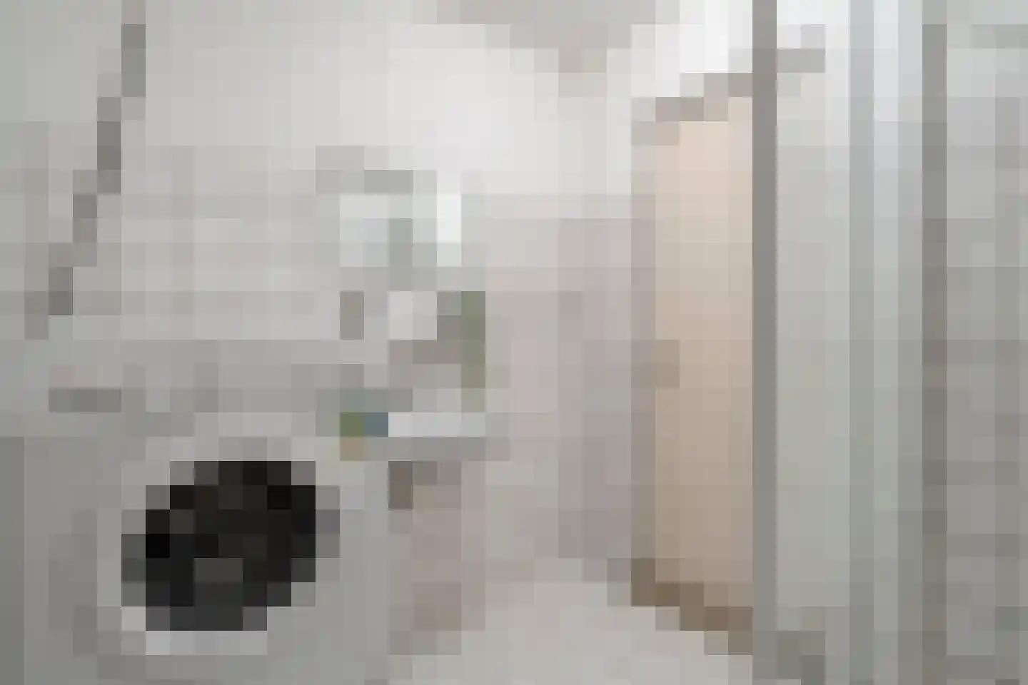 De Kamp 7 Hasselt thumbnail 36