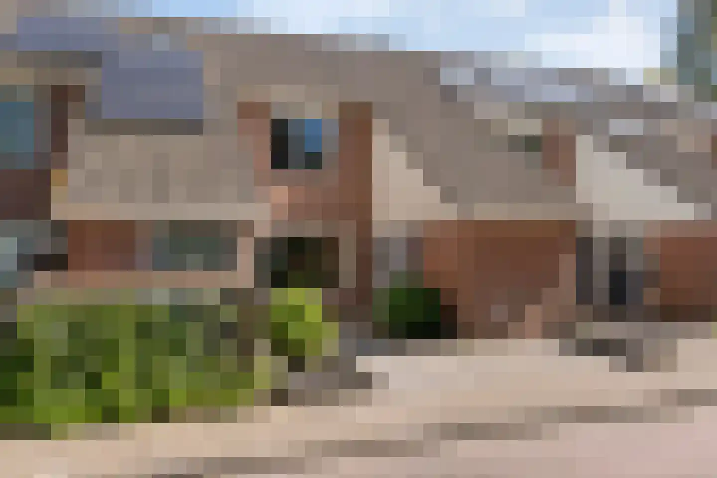 De Kamp 7 Hasselt thumbnail 5