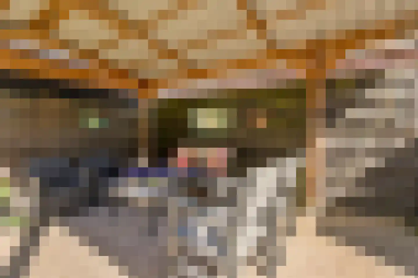 De Kamp 7 Hasselt thumbnail 50