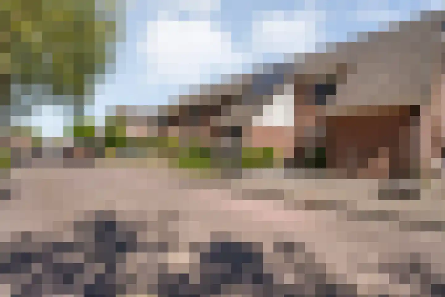 De Kamp 7 Hasselt thumbnail 6