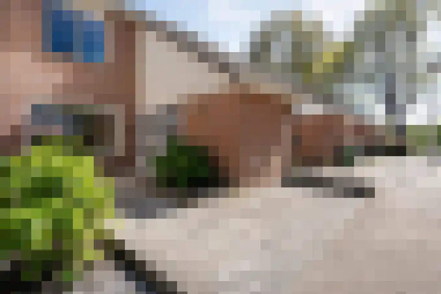 De Kamp 7 Hasselt thumbnail 8