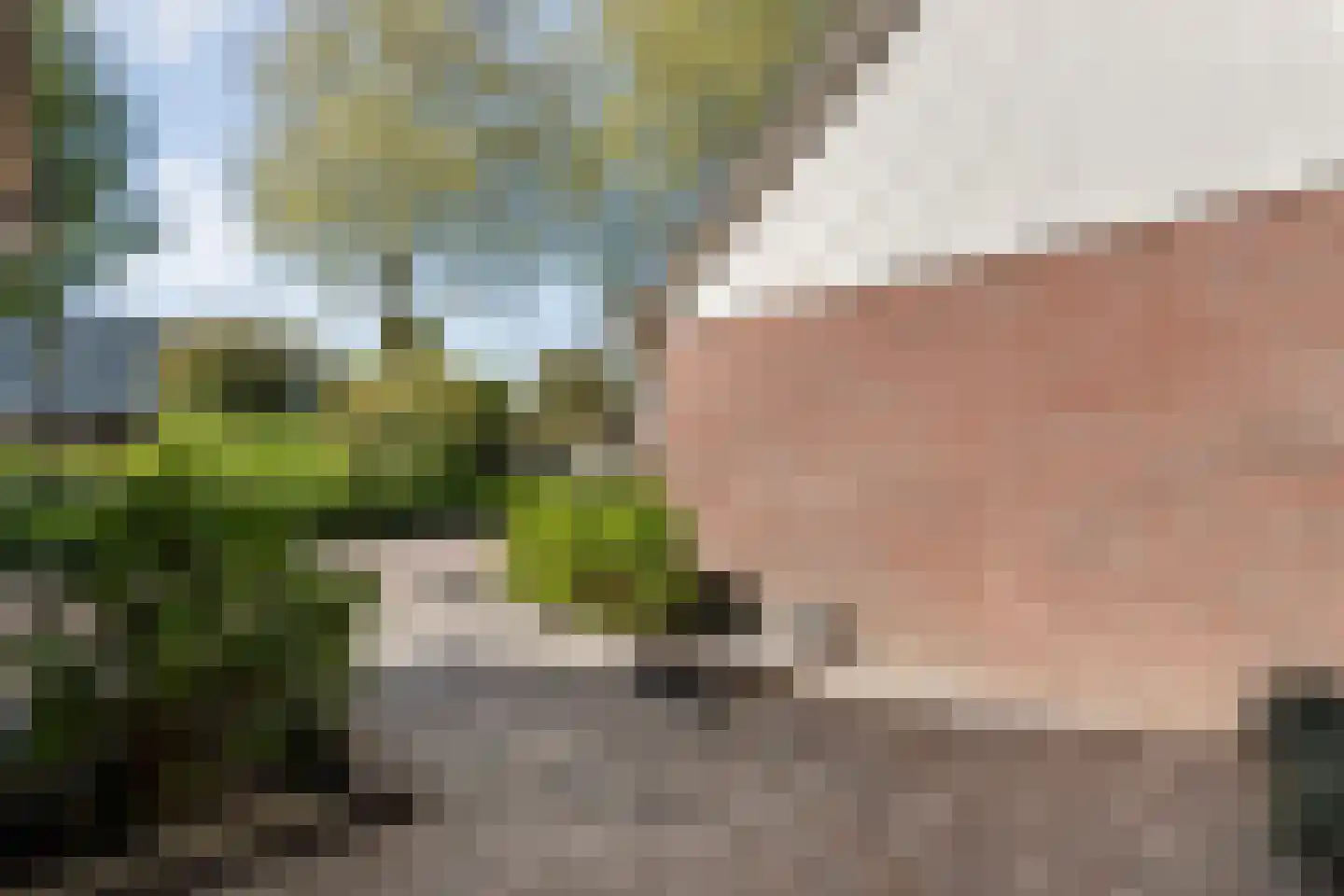 De Kamp 7 Hasselt thumbnail 9