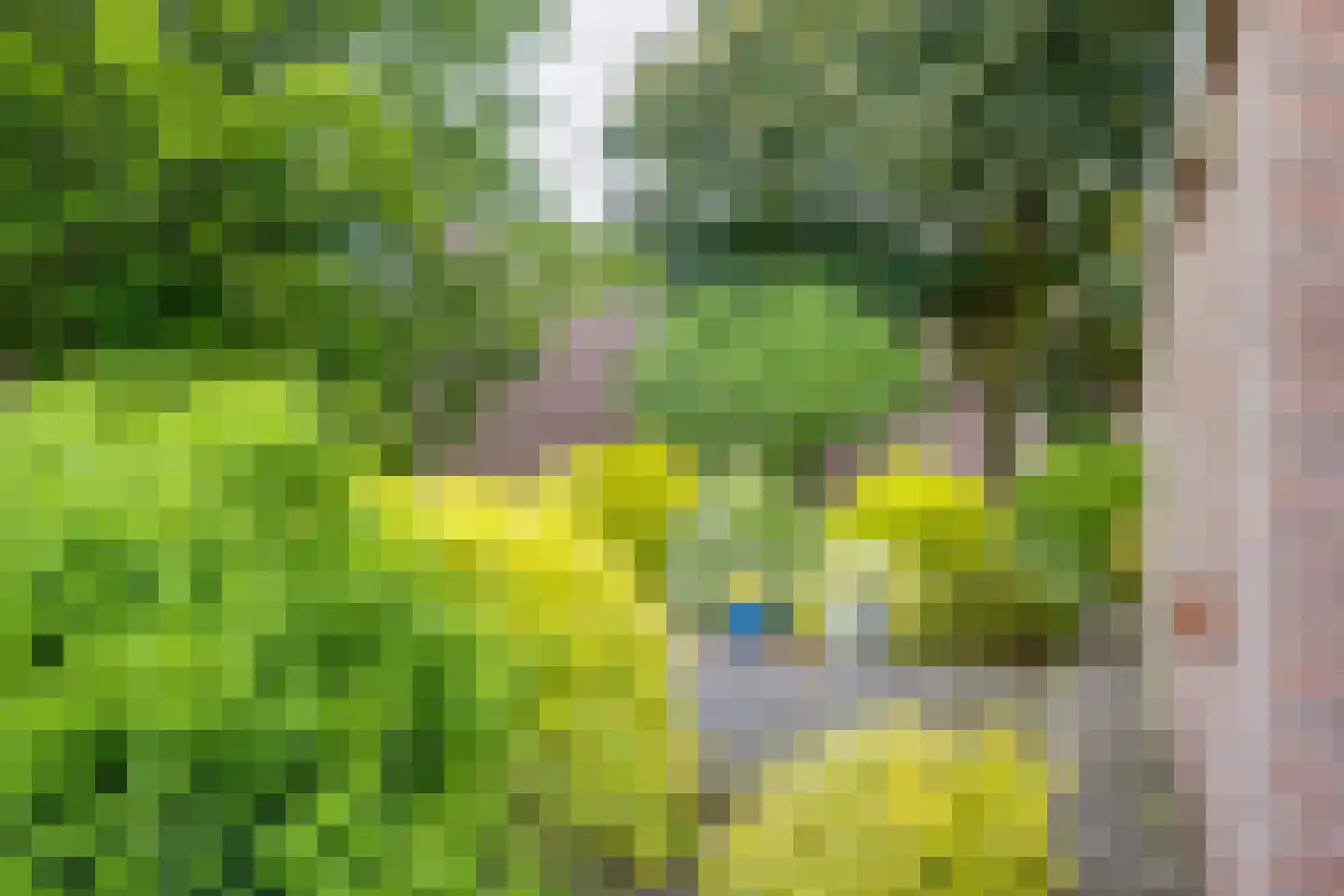 De Kamp 7 Laren thumbnail 23