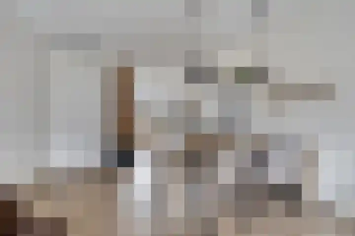 De Kampen 1 a Dwingeloo thumbnail 10