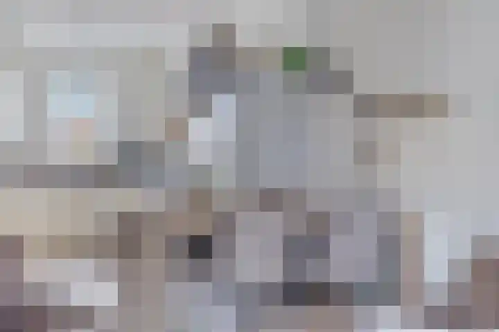 De Kampen 1 a Dwingeloo thumbnail 11