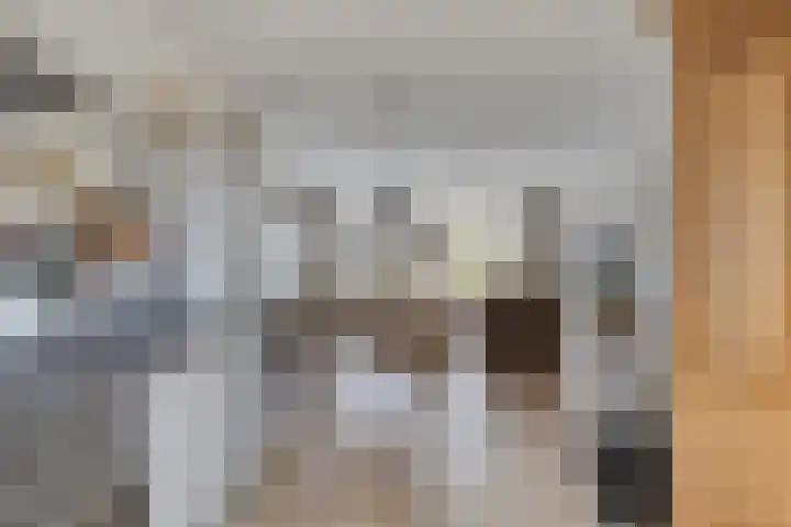 De Kampen 1 a Dwingeloo thumbnail 15