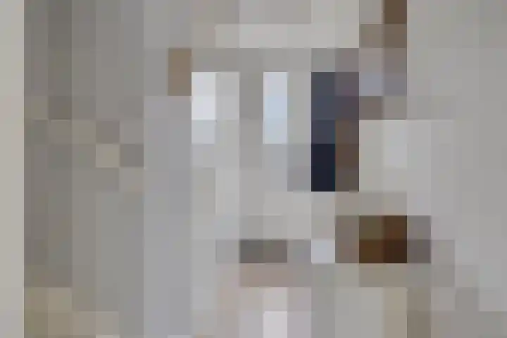 De Kampen 1 a Dwingeloo thumbnail 16