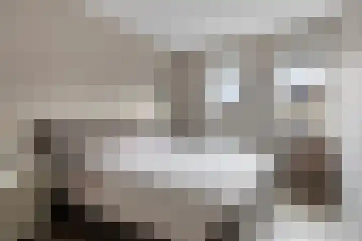 De Kampen 1 a Dwingeloo thumbnail 20
