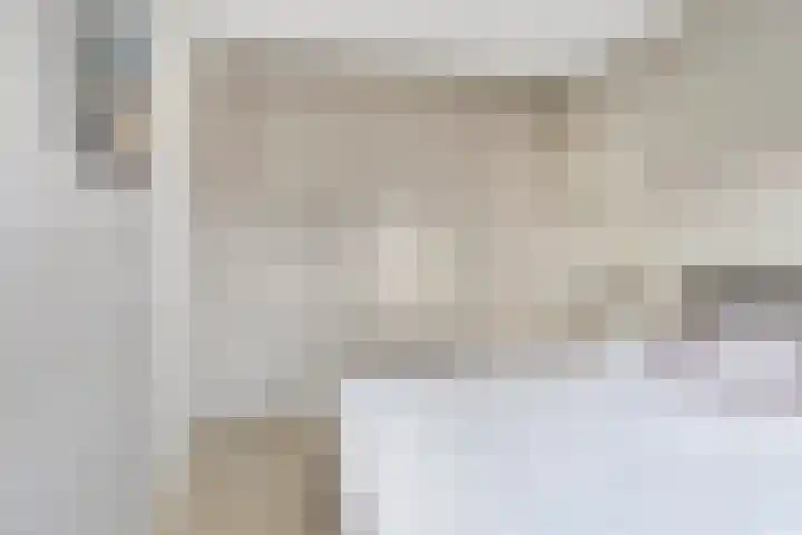 De Kampen 1 a Dwingeloo thumbnail 21
