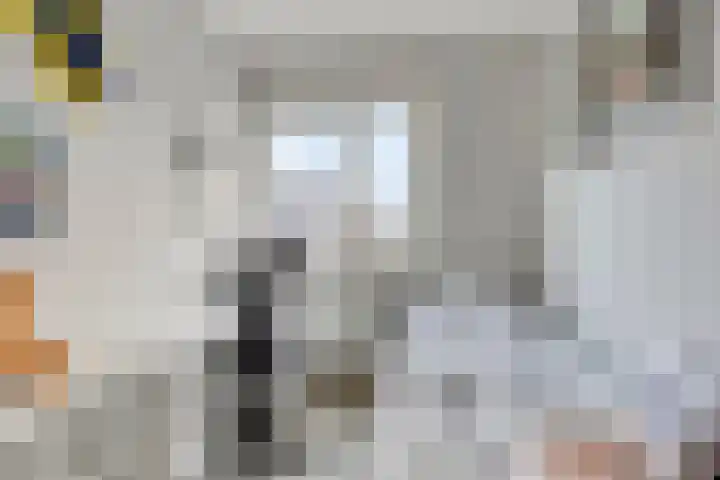 De Kampen 1 a Dwingeloo thumbnail 22