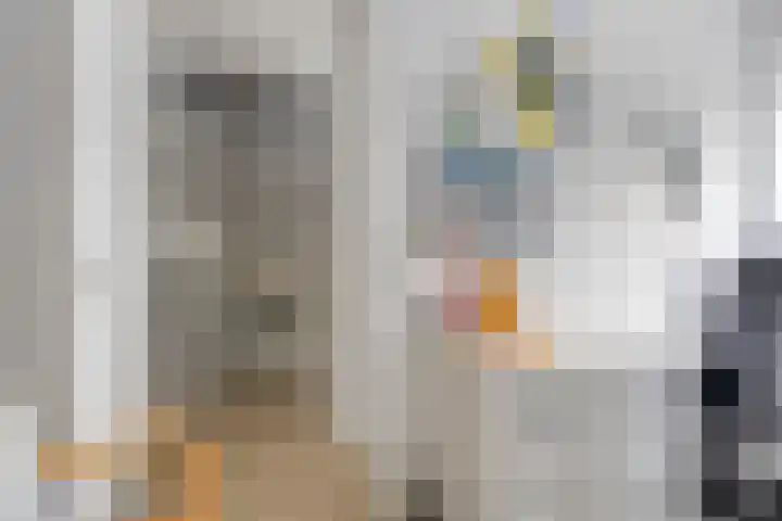 De Kampen 1 a Dwingeloo thumbnail 23