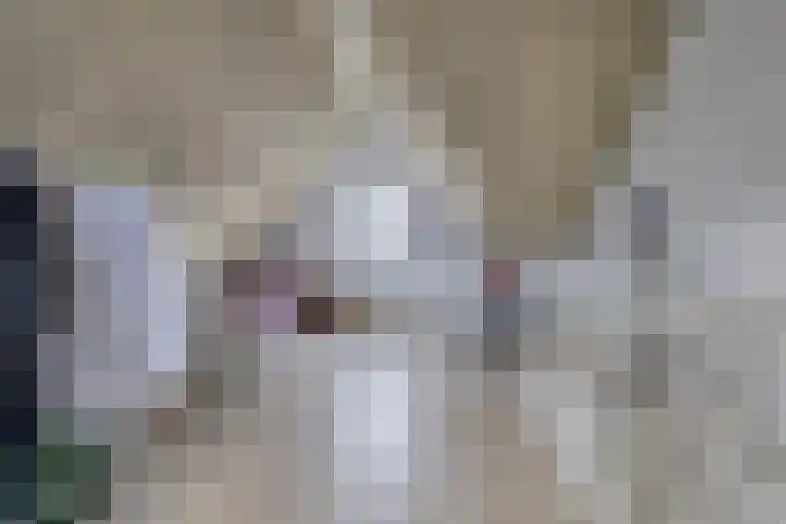 De Kampen 1 a Dwingeloo thumbnail 29