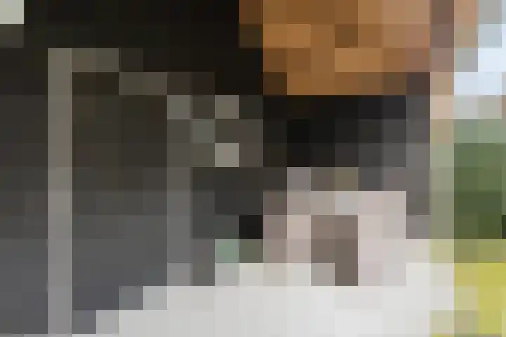 De Kampen 1 a Dwingeloo thumbnail 31