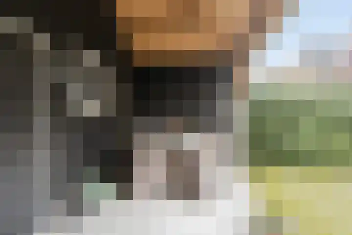 De Kampen 1 a Dwingeloo thumbnail 33