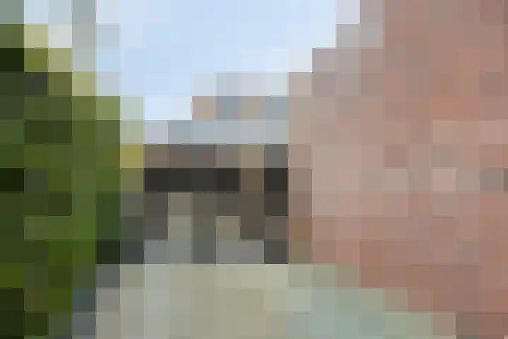De Kampen 1 a Dwingeloo thumbnail 36