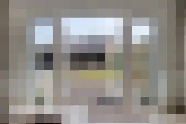 De Kampen 1 a Dwingeloo thumbnail 6