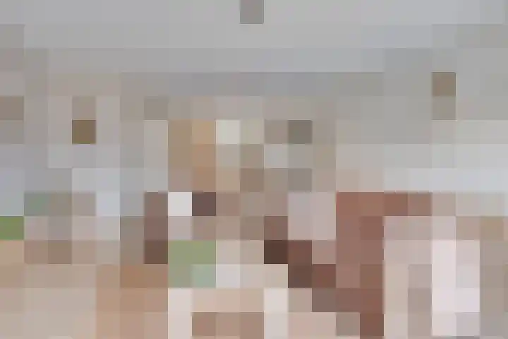 De Kampen 1 a Dwingeloo thumbnail 7
