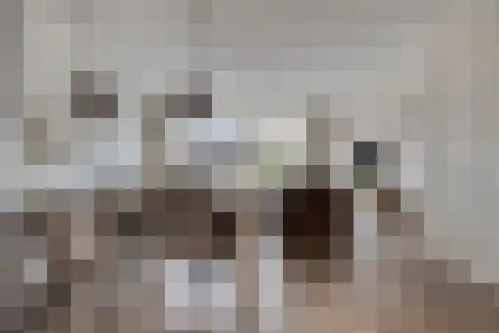 De Kampen 1 a Dwingeloo thumbnail 8