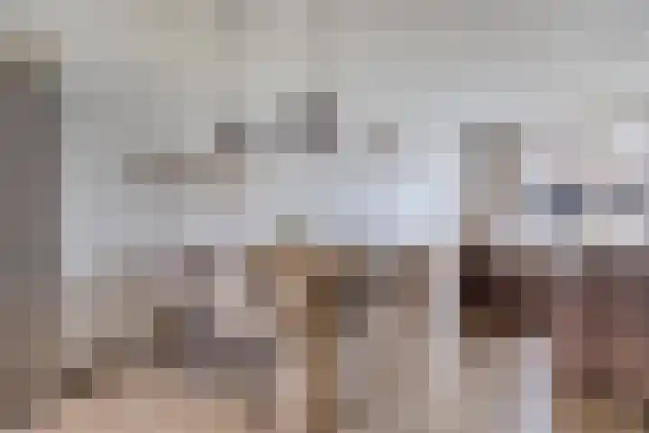 De Kampen 1 a Dwingeloo thumbnail 9