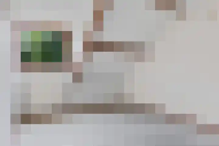 De Kampen 10 Ingwierrum thumbnail 11