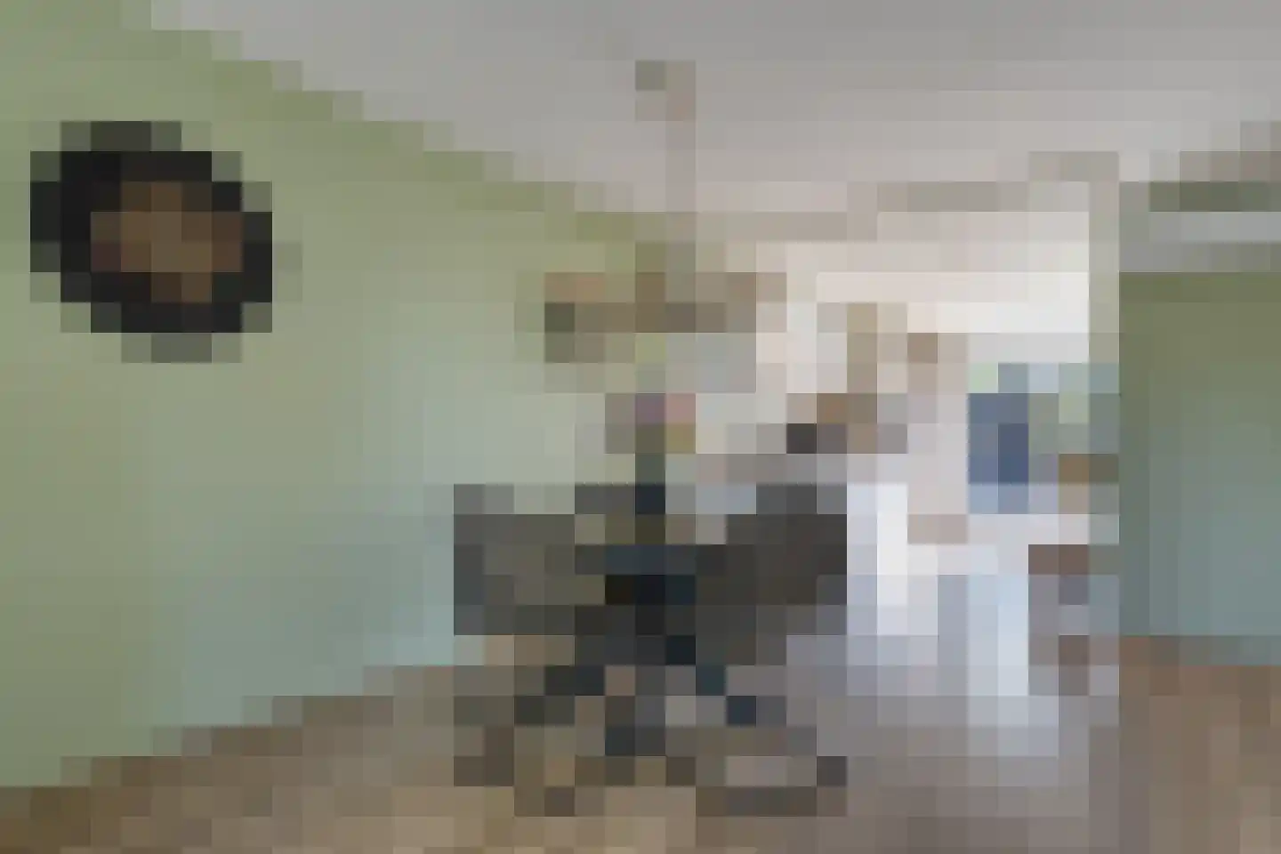 de Kampen 13 Meppel thumbnail 13