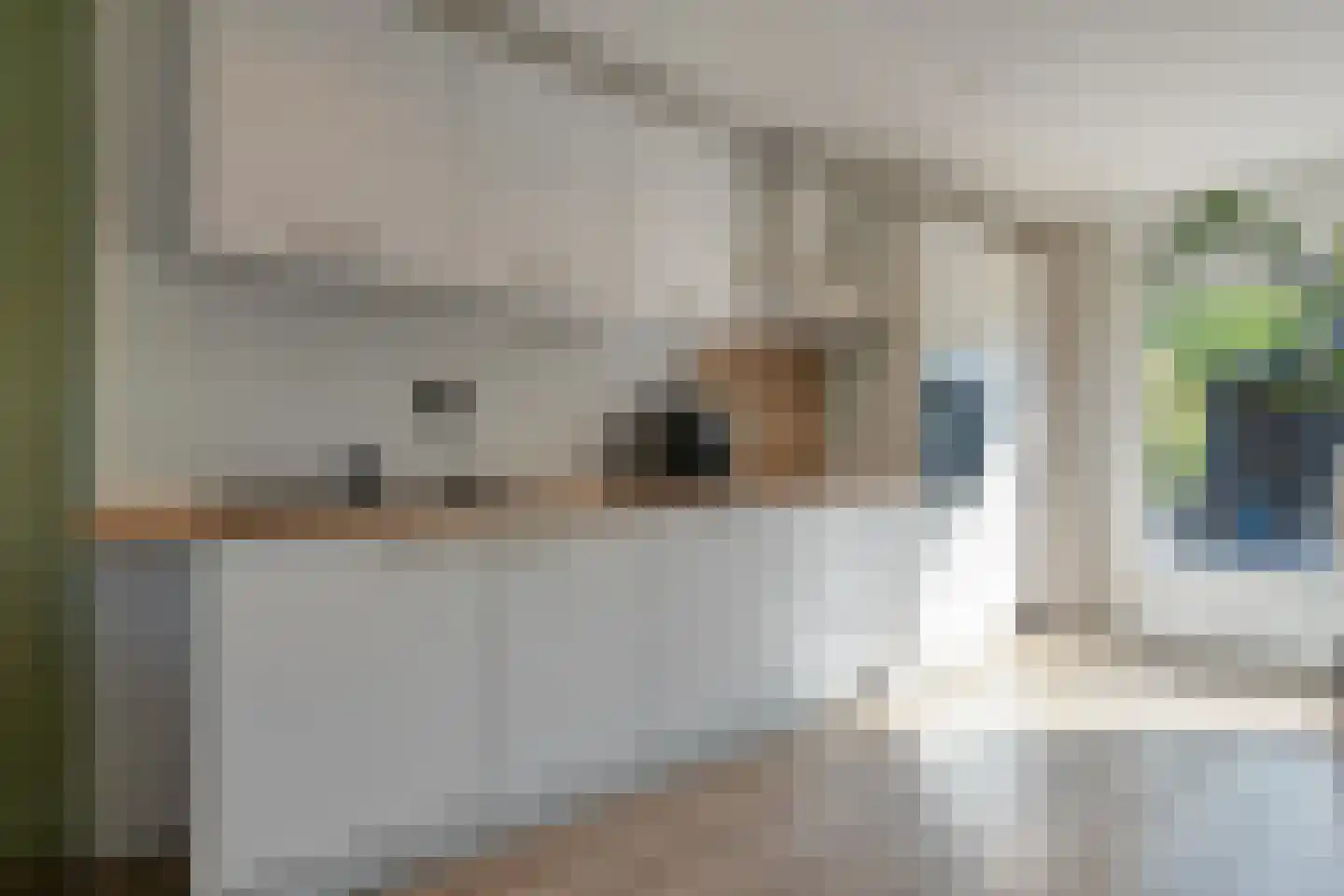 de Kampen 13 Meppel thumbnail 14