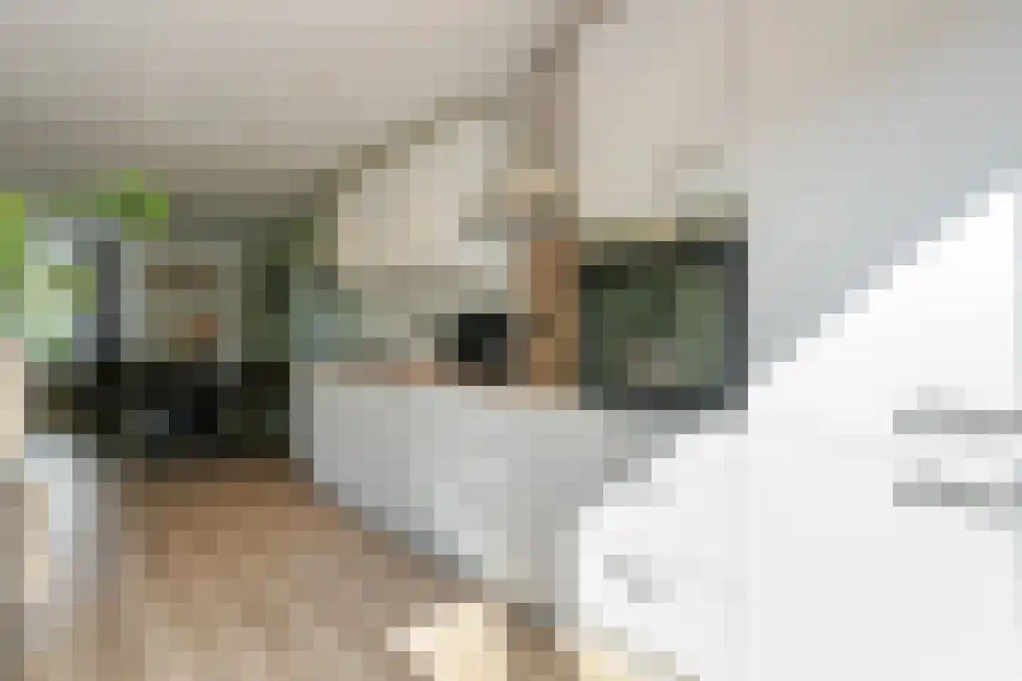 de Kampen 13 Meppel thumbnail 18