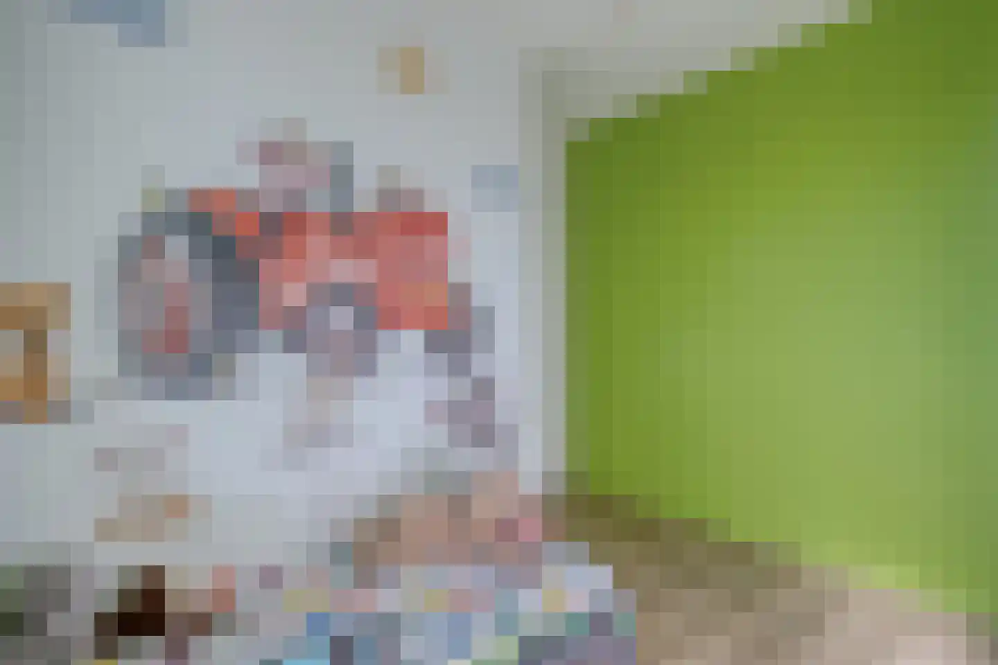 de Kampen 13 Meppel thumbnail 27
