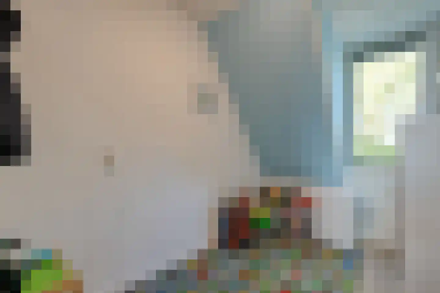 de Kampen 13 Meppel thumbnail 28