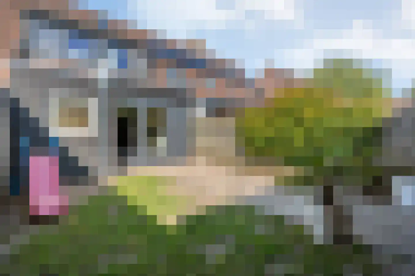 de Kampen 13 Meppel thumbnail 34