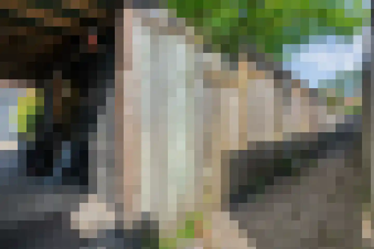 de Kampen 13 Meppel thumbnail 38