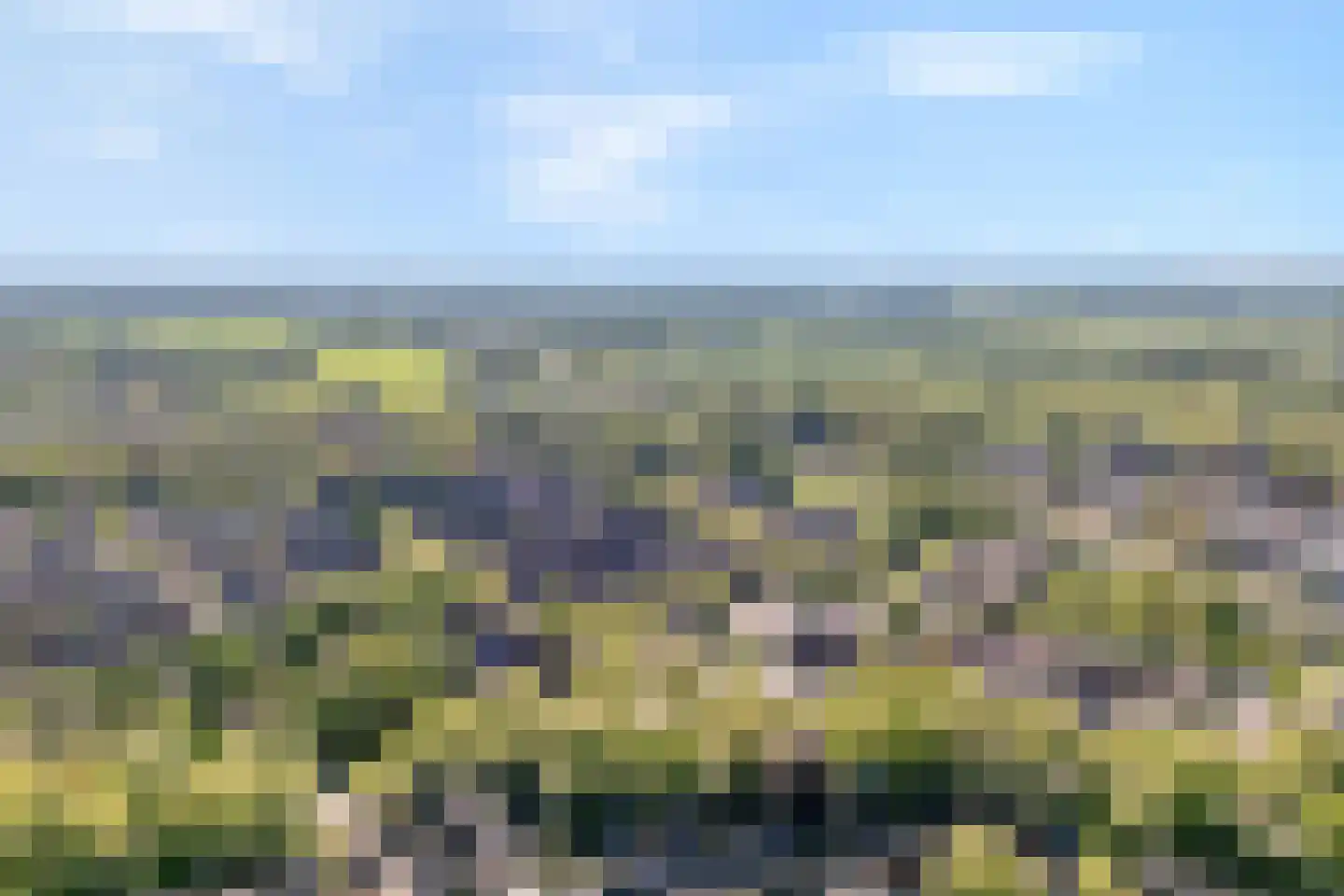 de Kampen 13 Meppel thumbnail 4