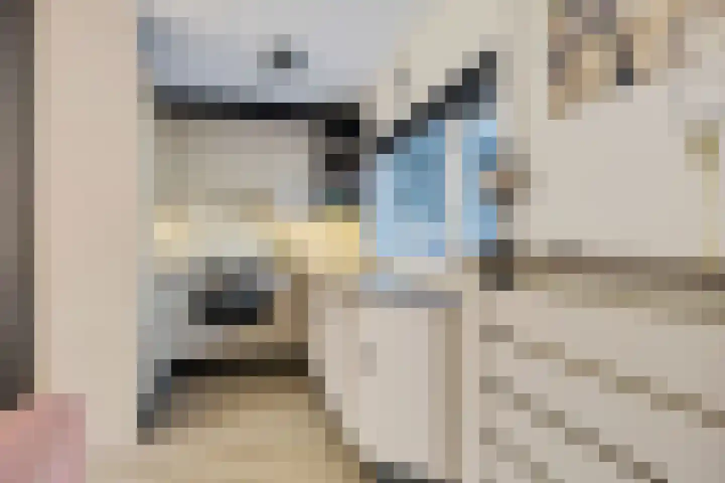 de Kampen 139 Meppel thumbnail 18
