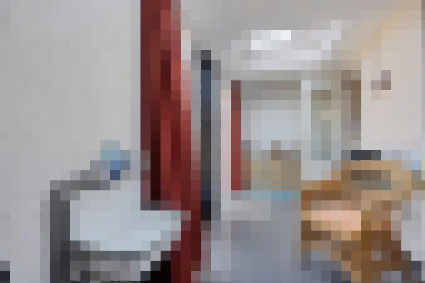 de Kampen 139 Meppel thumbnail 23