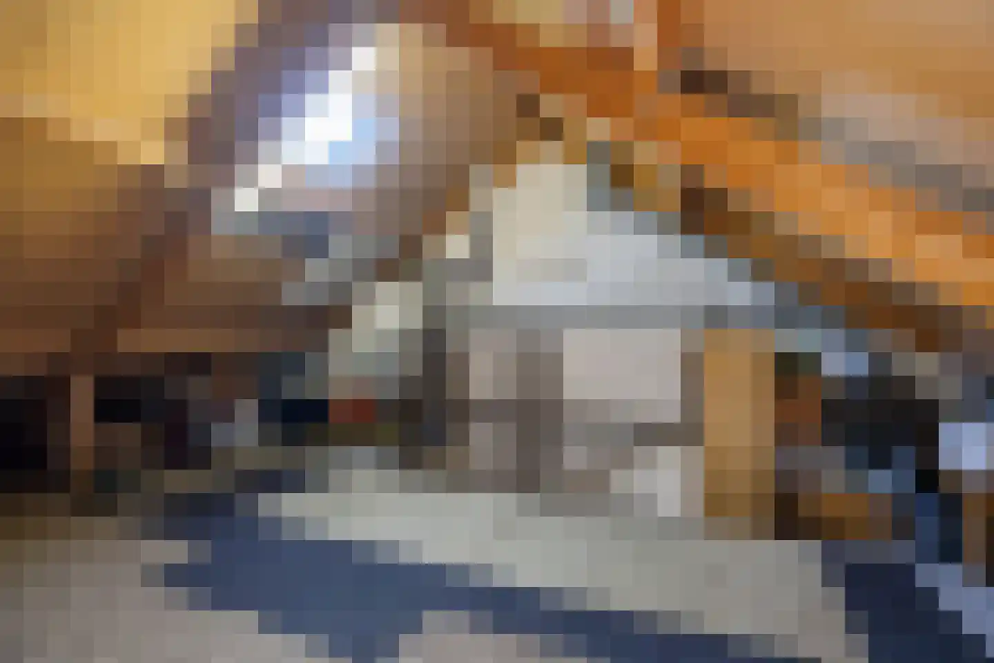 de Kampen 139 Meppel thumbnail 36