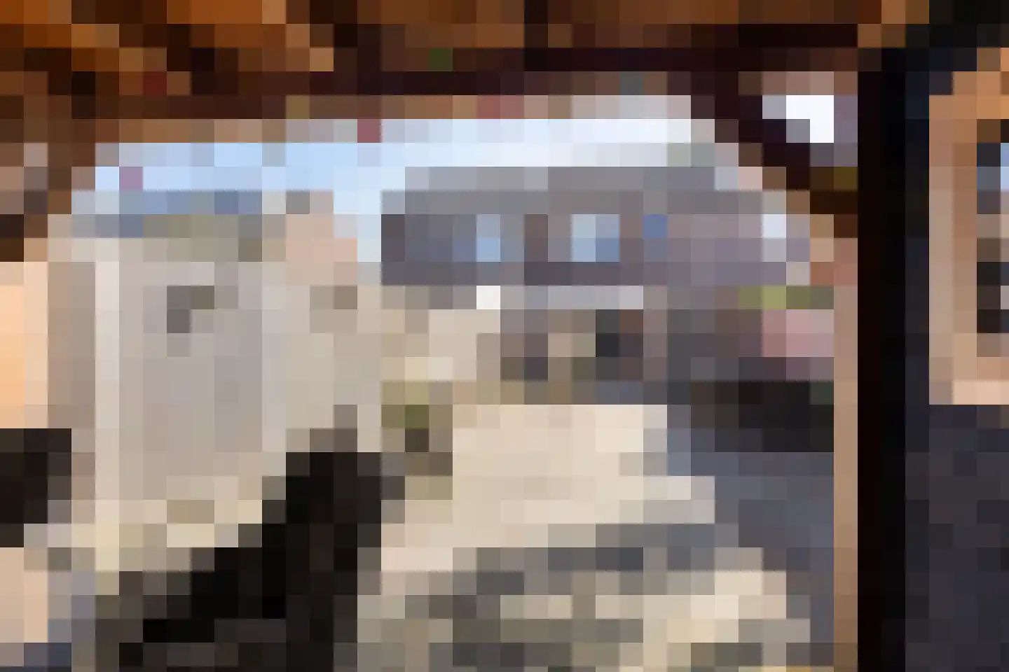 de Kampen 139 Meppel thumbnail 43