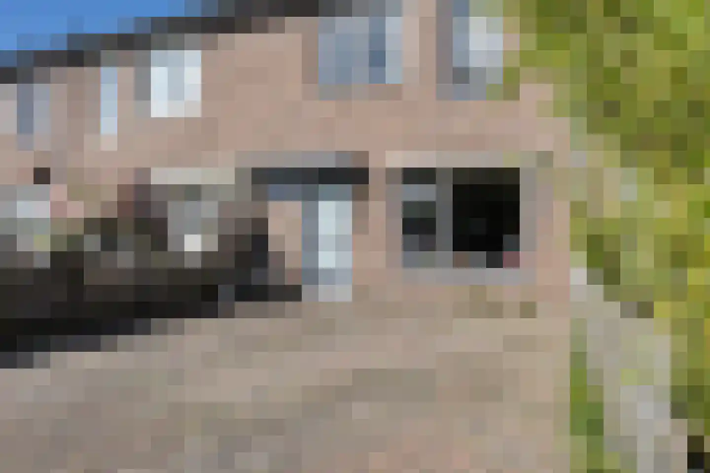 de Kampen 139 Meppel thumbnail 7