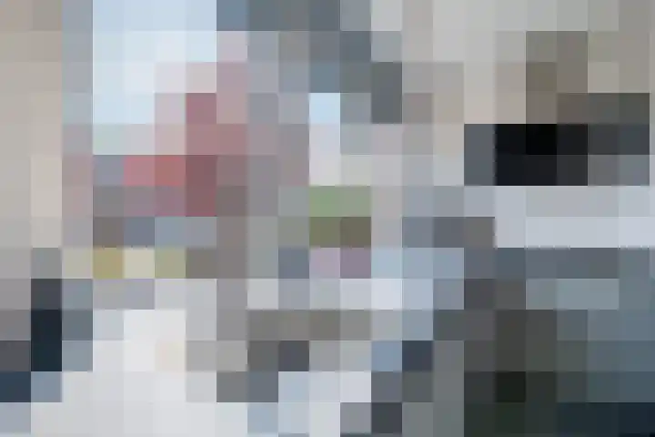 de Kampen 14 Meppel thumbnail 10