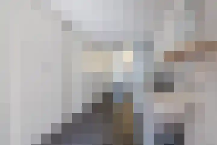 de Kampen 14 Meppel thumbnail 13