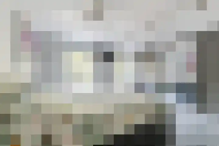 de Kampen 14 Meppel thumbnail 14